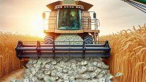Los dólares del campo son clave en medio de la puja por el tipo de cambio.
