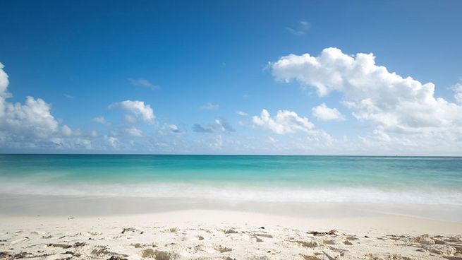 Conoce esta increíble playa ubicada en Yucatán.
