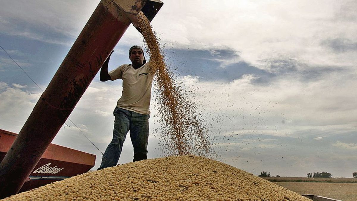 Economía lanza plan de incentivos para pequeños productores de soja y maíz