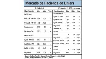 Hacienda bajó hasta el 7% ayer