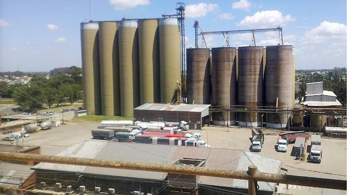 Molino Cañuelas: the contest is expanded and there is uncertainty among its creditors