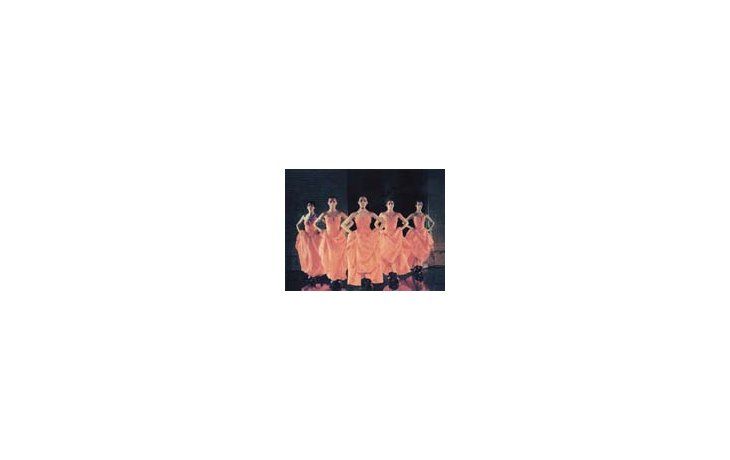 ámbito.com | Ballet de Robles y Bauer.