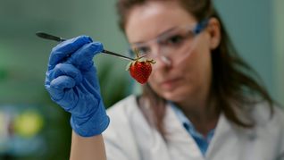 Uruguay avanza en conjunto con Estados Unidos para la aplicación de irradiación de los alimentos.&nbsp;