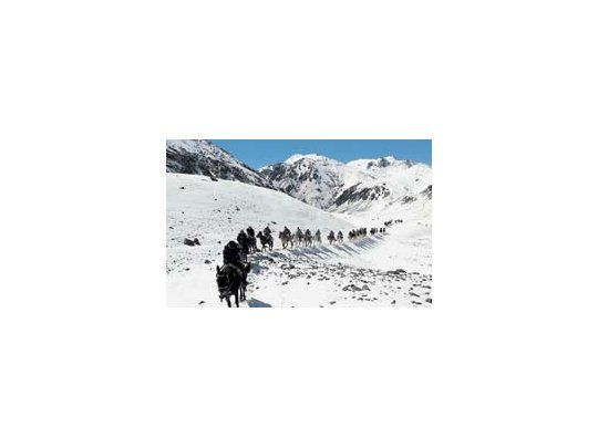 A lomo de mula, la delegación argentina sigue los pasos de San Martín desde el lunes a través de los Andes.