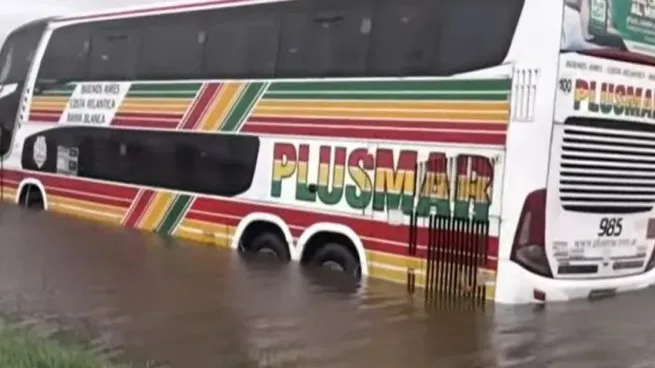La tormenta de Santa Rosa provocó destrozos en varias provincias