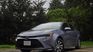 An unrenewed decree stops the importation of ecological cars An unrenewed decree stops the importation of ecological cars