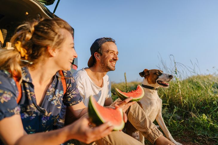 Algunas frutas como las bananas aumentan la felicidad. Algunas frutas como las bananas aumentan la felicidad.