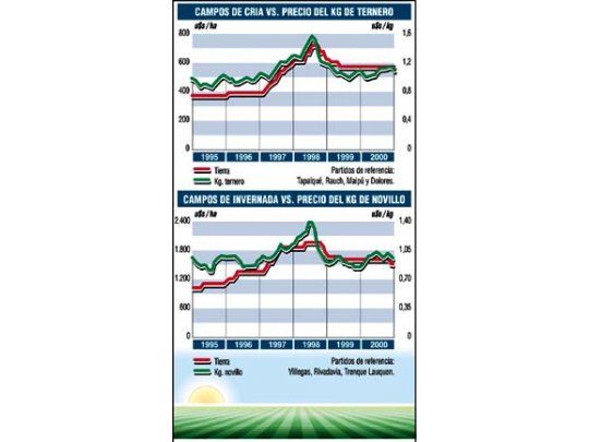 No se espera recuperación en los precios de los campos este año