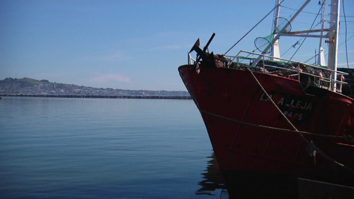 Why does the fishing industry report being paralyzed and on the verge of collapse?