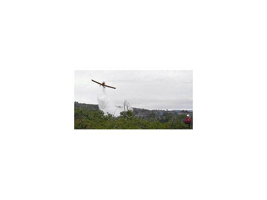 Cierran acceso al Parque Los Alerces el fuego descontrolado que devoró decenas de hectáreas de bosques nativos en el límite entre el Parque Nacional Los Alerces.