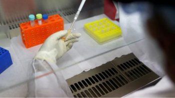 Las compras más relevantes fueron las vinculadas a los insumos médicos, de prevención, y de detección Covid-19 que alcanzaron un 58% del monto total adjudicado.