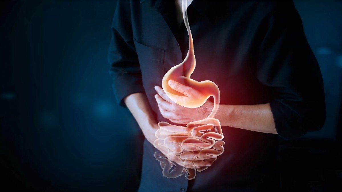 Health: how to prevent food poisoning
