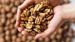 &nbsp;El alimento de la longevidad: Harvard halló que comer un puñado de nueces a la semana alarga tu vida