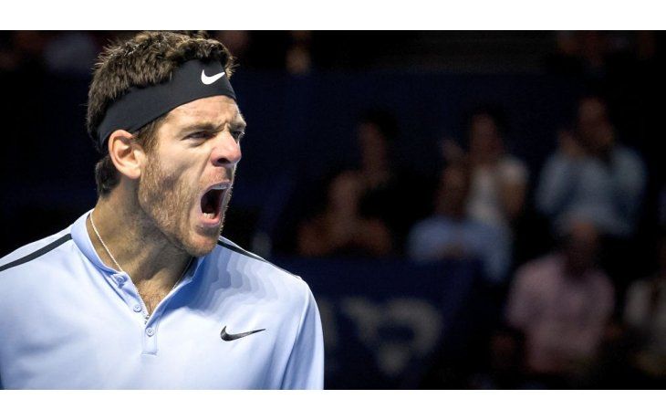 Del Potro estalló contra los fanáticos de Federer.