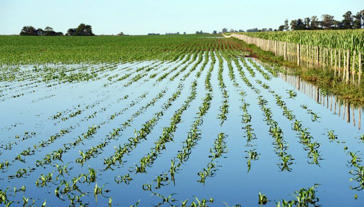 Las economías regionales enfrentan una de las peores sequías de los últimos años. Las economías regionales enfrentan una de las peores sequías de los últimos años.