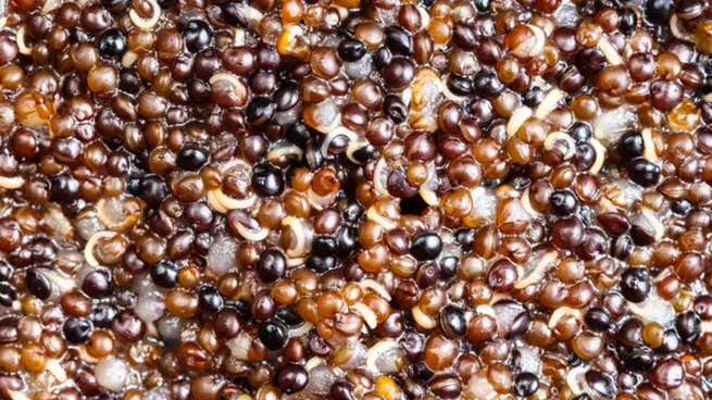 ¿Cuál es el superalimento que atrasa el envejecimiento?