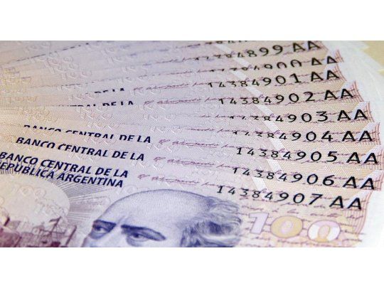 Los intereses serán pagaderos en forma trimestral y la amortización será íntegra al vencimiento, aunque el suscriptor podrá disponer la cancelación anticipada en forma total o parcial.