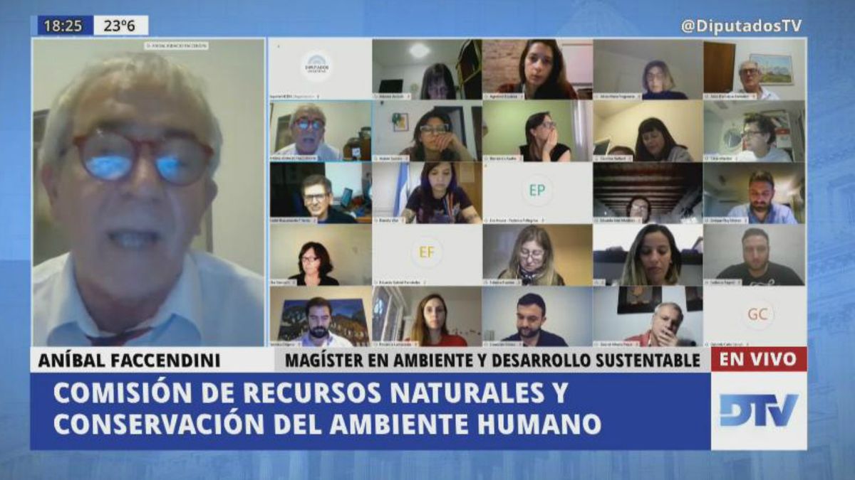 Diputados La Comisión De Ambiente Comenzó A Analizar La Ley De Humedales 8226