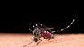 What happens if I get dengue for the second time?