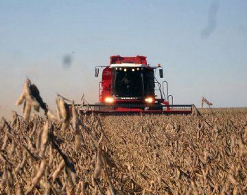 La Bolsa de Comercio redujo las estimaciones de cosecha de soja y maíz por el impacto de la sequía