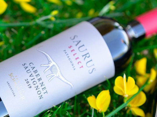 Saurus Select Cabernet Sauvignon_DSC0444-28.jpg