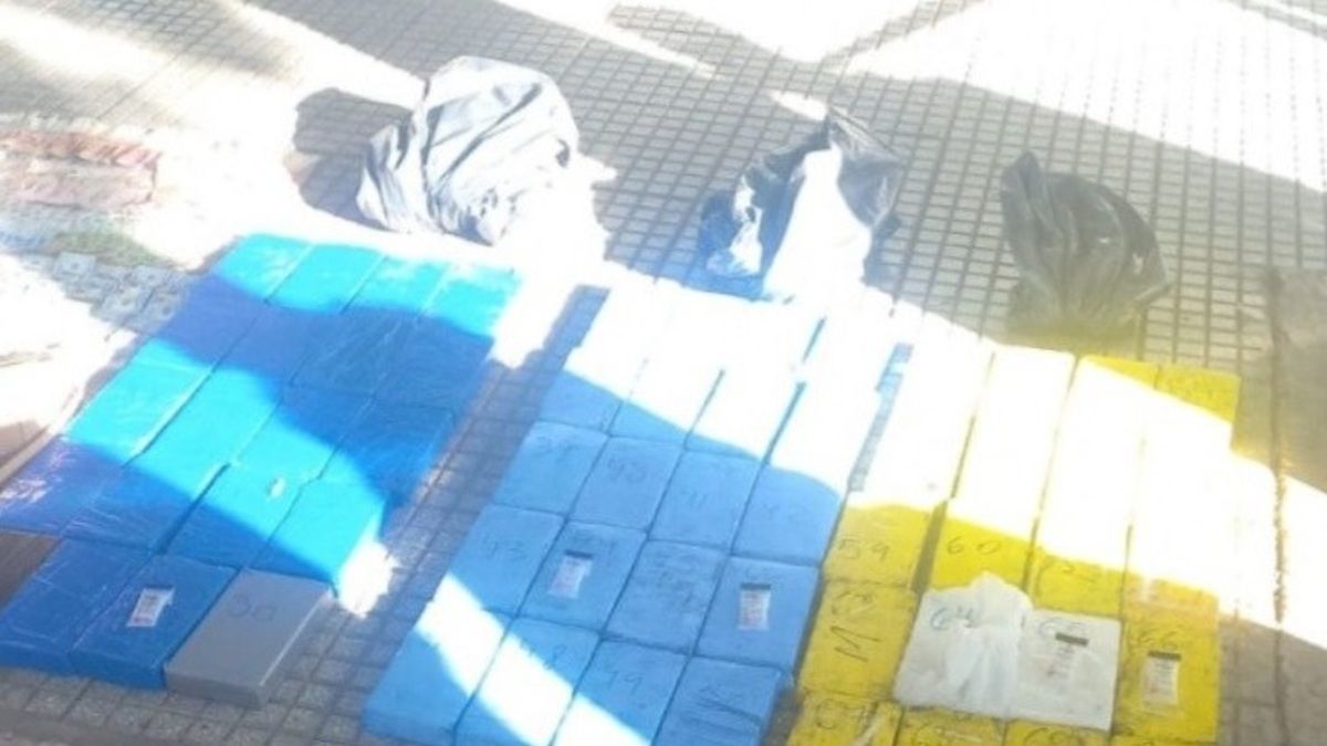 They seized 70 bricks of cocaine in an operation against drug trafficking in Flores