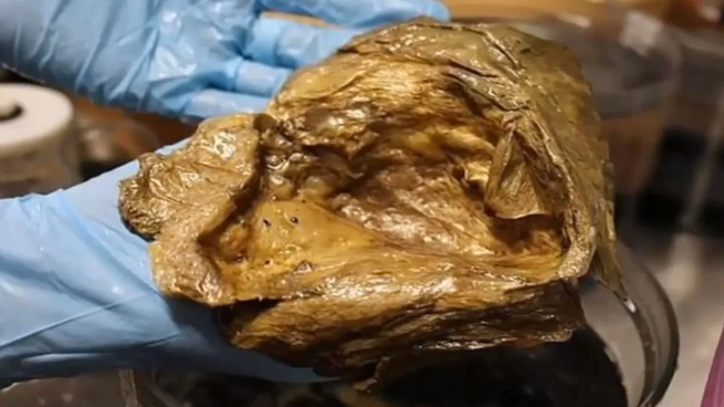 Misterioso descubrimiento.