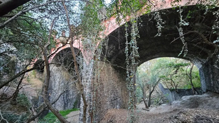 Los secretos del Bosque de CHapultepec.