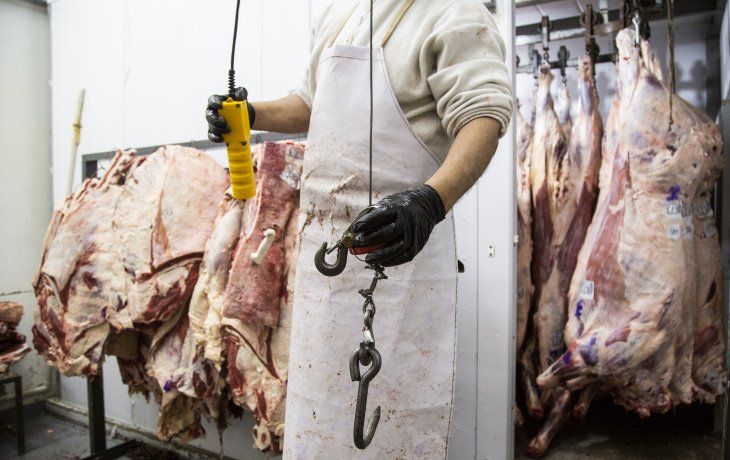 ámbito.com | CARNE.jpg