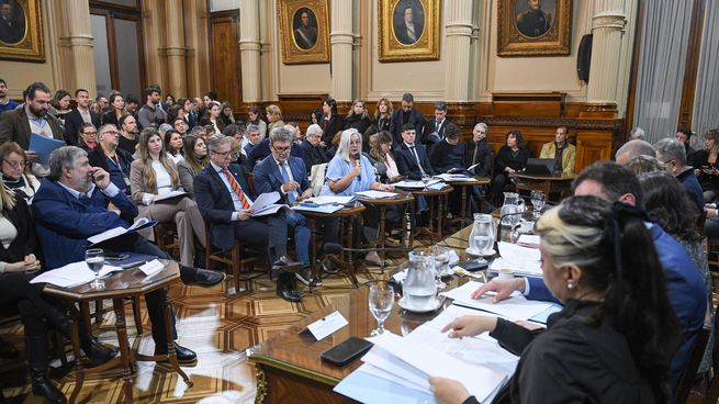 Un plenario en el Senado de la Nación consiguió el dictamen en emergencia pediátrica.