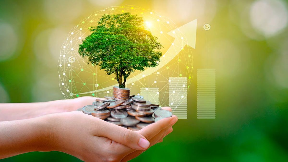 Government promotes the use of carbon markets
