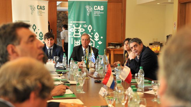 El titular del MGAP, Fernando Mattos, presidió una reunión regional para frenar el avance de de la gripe aviar en Uruguay y demás países sudamericanos.