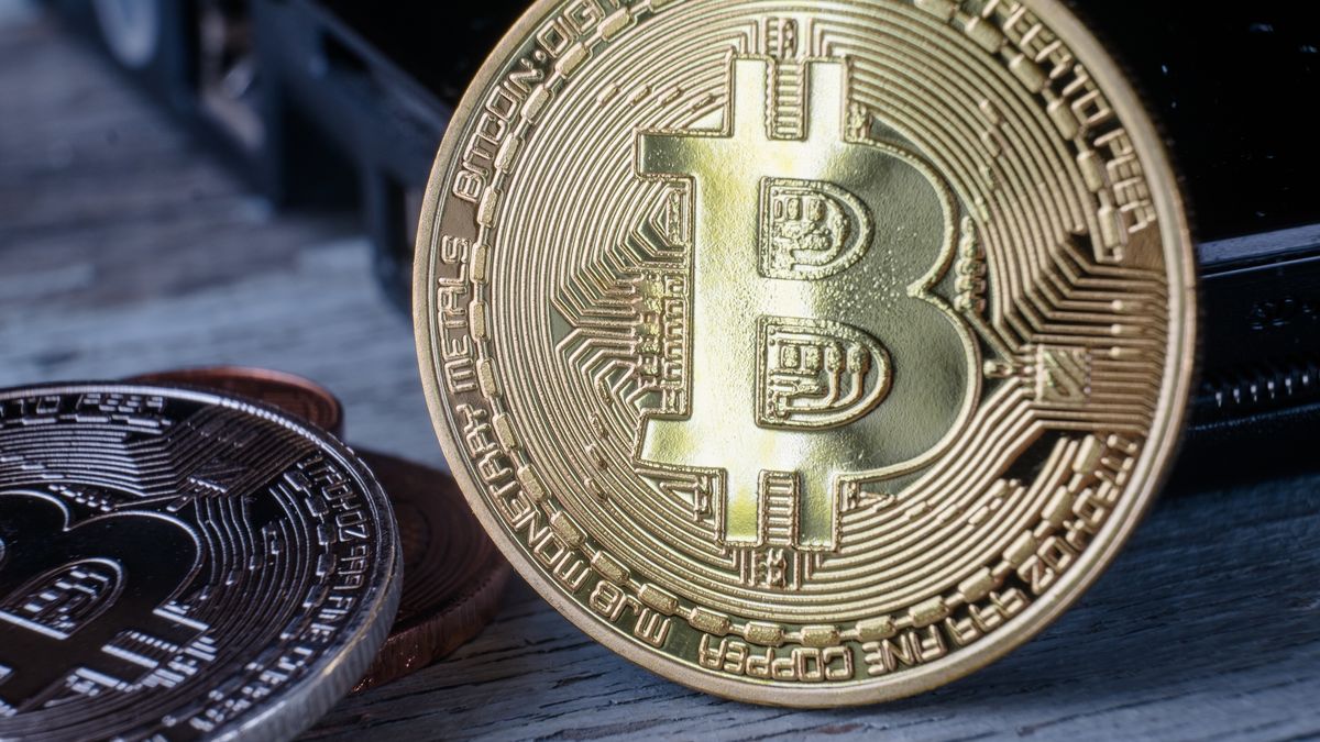 The price of bitcoin in a scenario of financial fragility