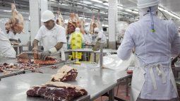 The Lequio group operates seven fridge plants.