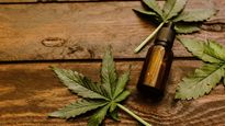 Cannabis.