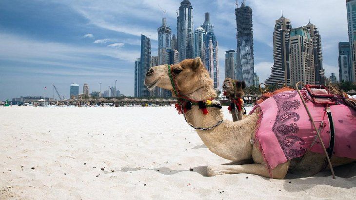 Viaje Corteza es suficiente Emiratos Árabes Unidos: todo lo que tenés que saber de un país con  perspectivas alentadoras