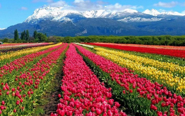 Argentina.