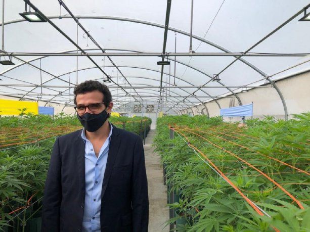 Gastón Morales, presidente de Cannava, sociedad estatal, durante la recorrida.