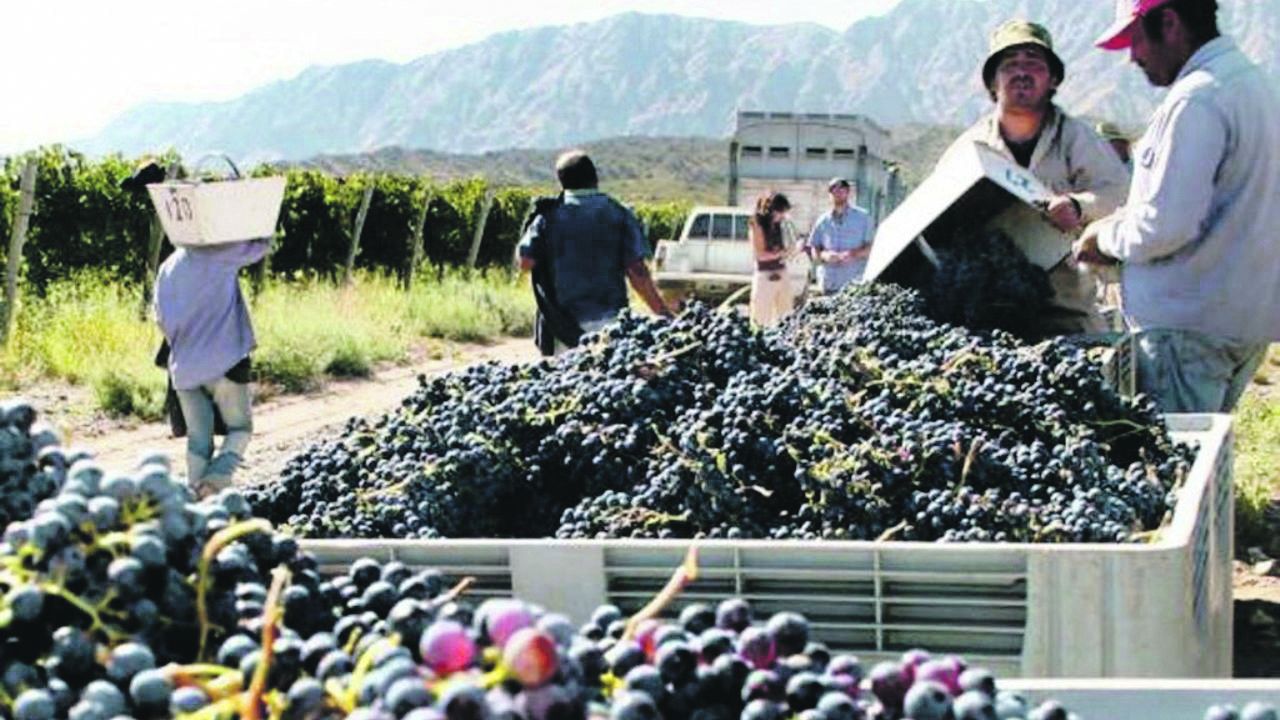 El vino como factor de exportación y crecimiento económico