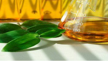 Argentina exportará cerca de 700.000 toneladas de biodiésel a la Unión Europea