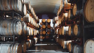 La industria vitivinícola argentina espera que el contexto doméstico e internacional se estabilicen en 2026. La industria vitivinícola argentina espera que el contexto doméstico e internacional se estabilicen en 2026.