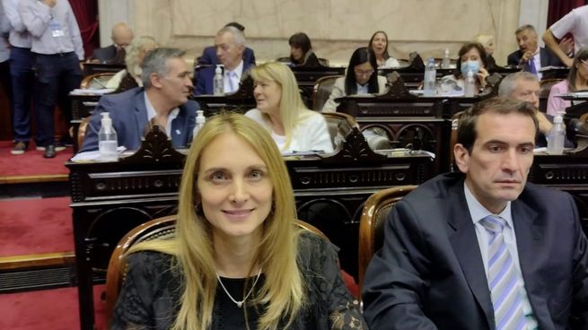 La diputada Gabriela Brouwer de Koning pidió disculpas públicas.