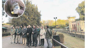 ANUNCIO. Horacio Rodríguez Larreta hizo el anuncio ayer en el zoológico en donde vive la orangutana Sandra.
