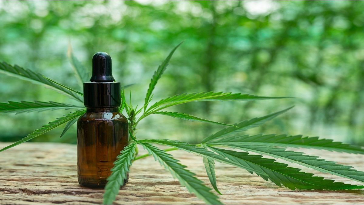 Police arrest gang for scam of 686 million dollars with medicinal cannabis Police arrest gang for scam of 686 million dollars with medicinal cannabis