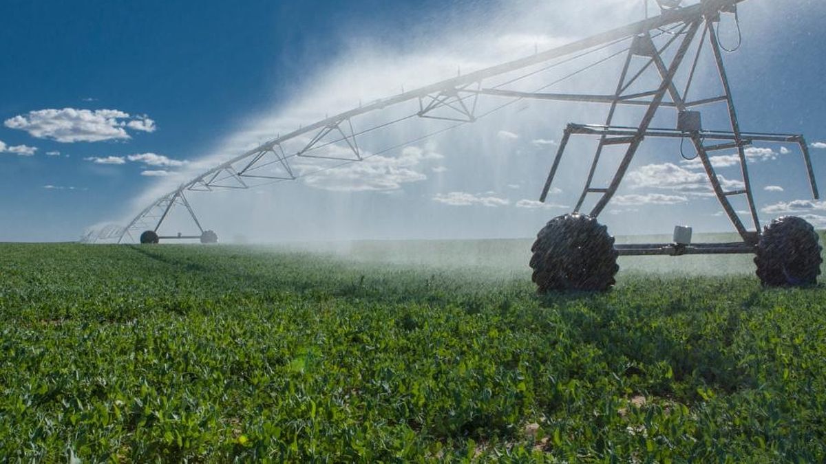The agricultural sector opposes the natural field law because it makes production in the sector more complex