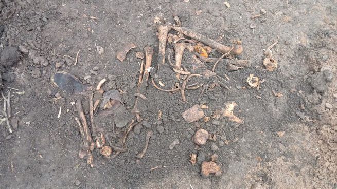 Los restos hallados en la excasa de Gustavo Cerati.