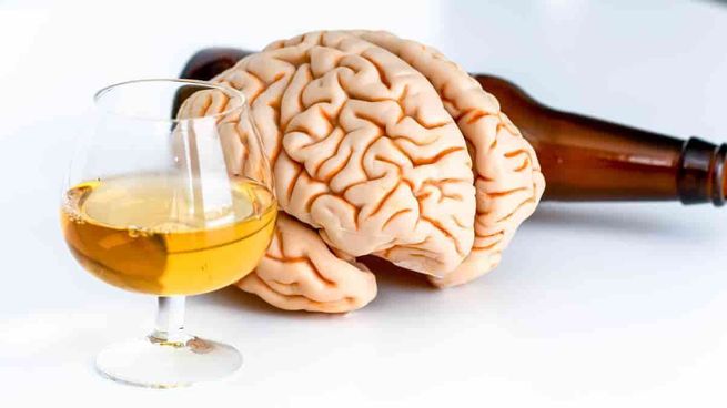 ¿Qué efectos le produce el alcohol al cerebro?