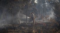 Incendios en El Bolsón.&nbsp;