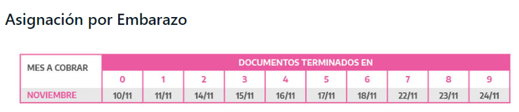 Asignación Universal por Embarazo (AUE) de ANSES