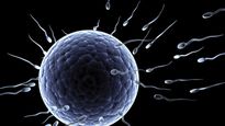 como afecta la diabetes a la fertilidad masculina